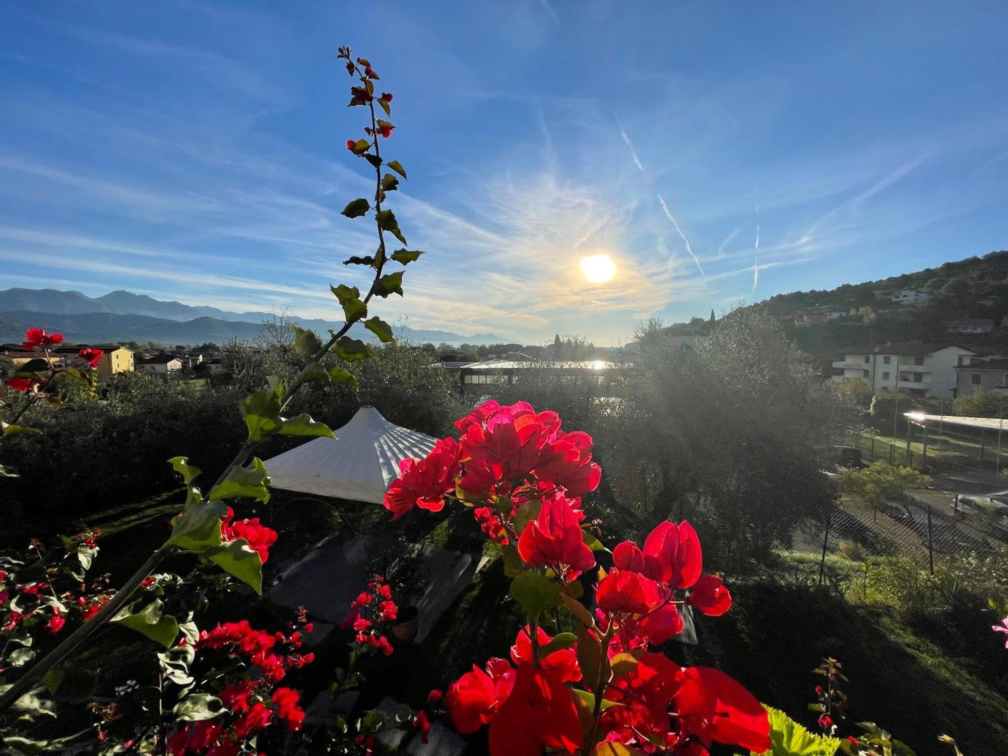 Il Casale Del Magra Guest house